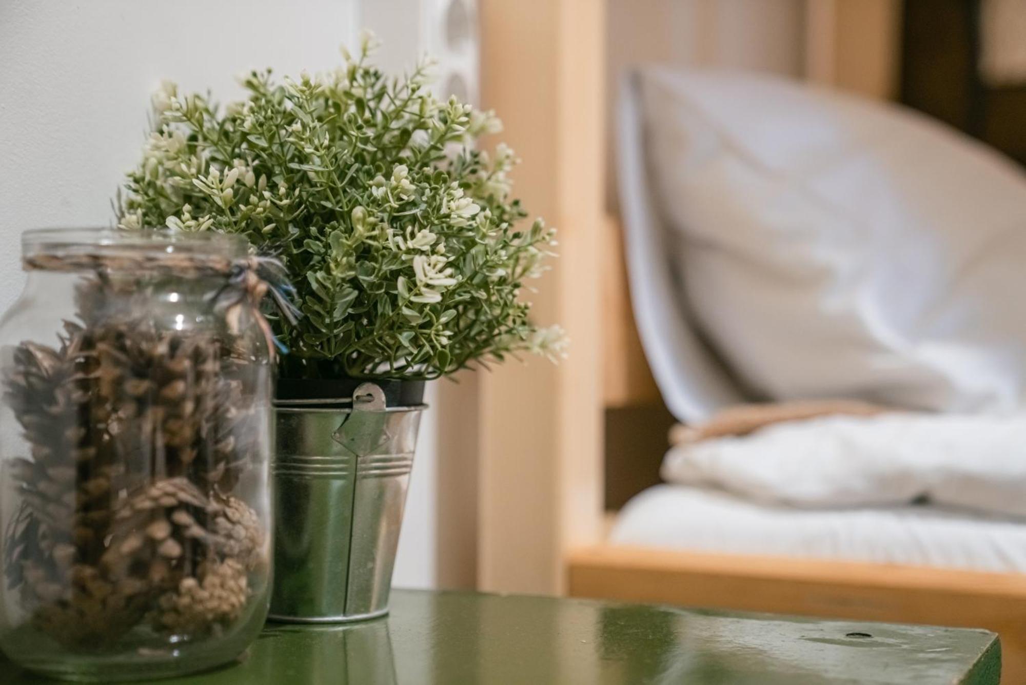 וילנה Downtown Forest Hostel & Camping מראה חיצוני תמונה